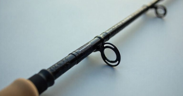 8 Things You Didn’T Know About Rod Sensitivity