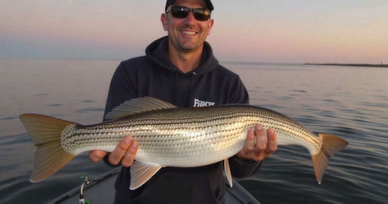 Night Fishing Tips to Catch More Fish After Sunset