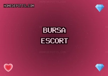 Bursa Escort: Nilüfer Escort, Gemlik Escort, Kestel Escort